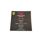 Mini casco Spark scala 1/5 Sebastian Vettel 2019